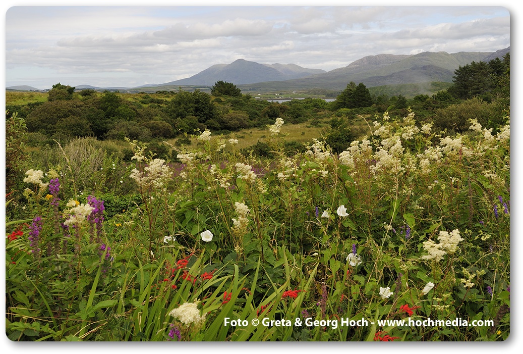 Connemara NP
