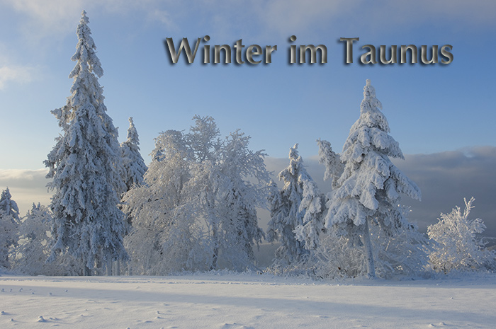 Winter im Taunus