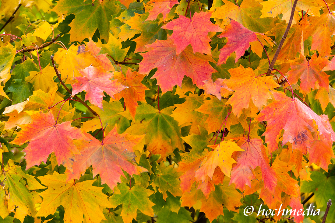 Herbstzauber