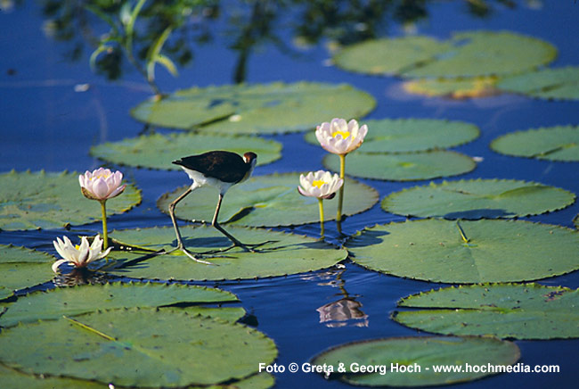 Kaakdu National Park