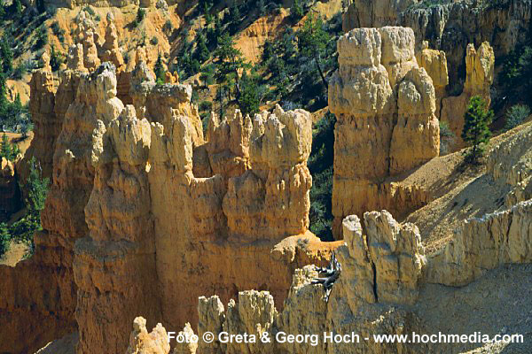 Bryce Canyon