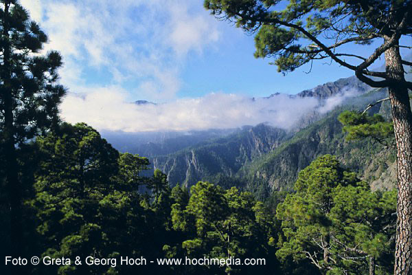 Caldera de Taburiente - La Palma