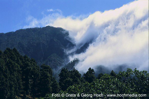 Passatwolken, Cumbre La Palma