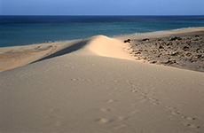 Fuerteventura Mini