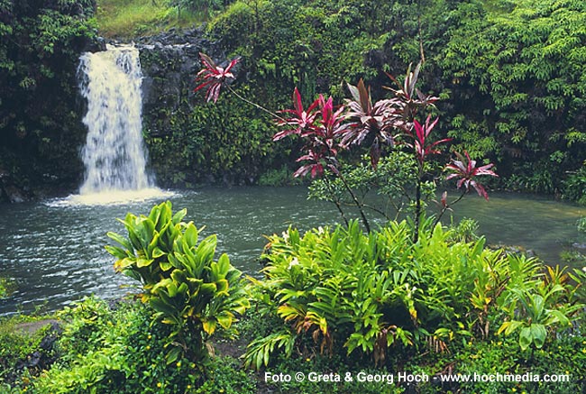 Hana Waterfall 1