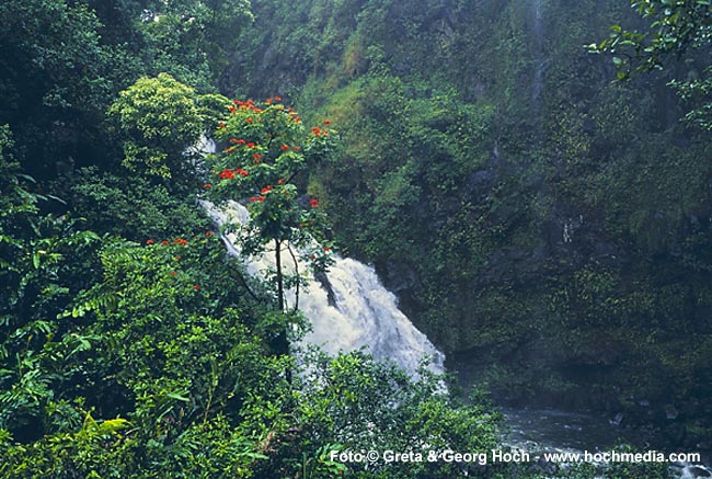 Hana Waterfall 2