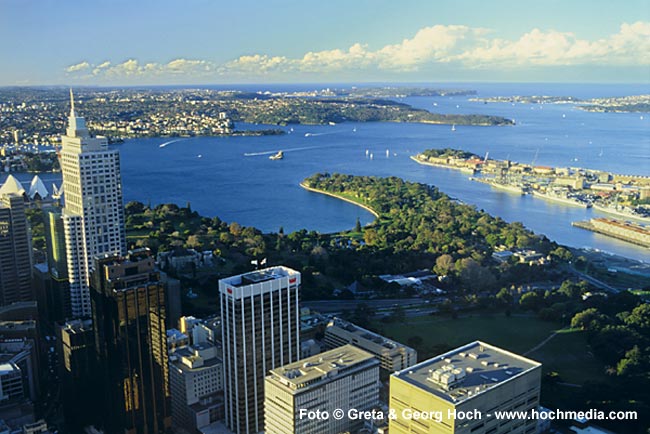 SYDNEY VIEW