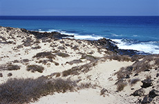 Corralejo