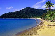 Dunk Island