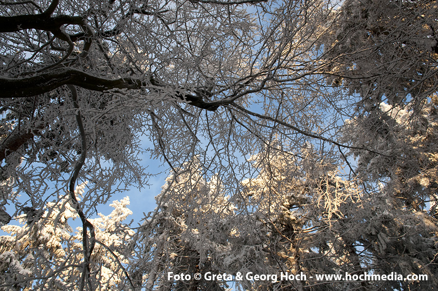 Winter im Taunus