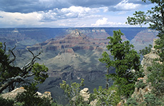 grand canyon