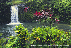 Hana Waterfall