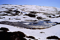 Hardangervidda