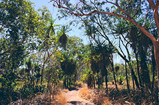 Kakadu NP