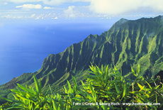 Kalalau Lookout