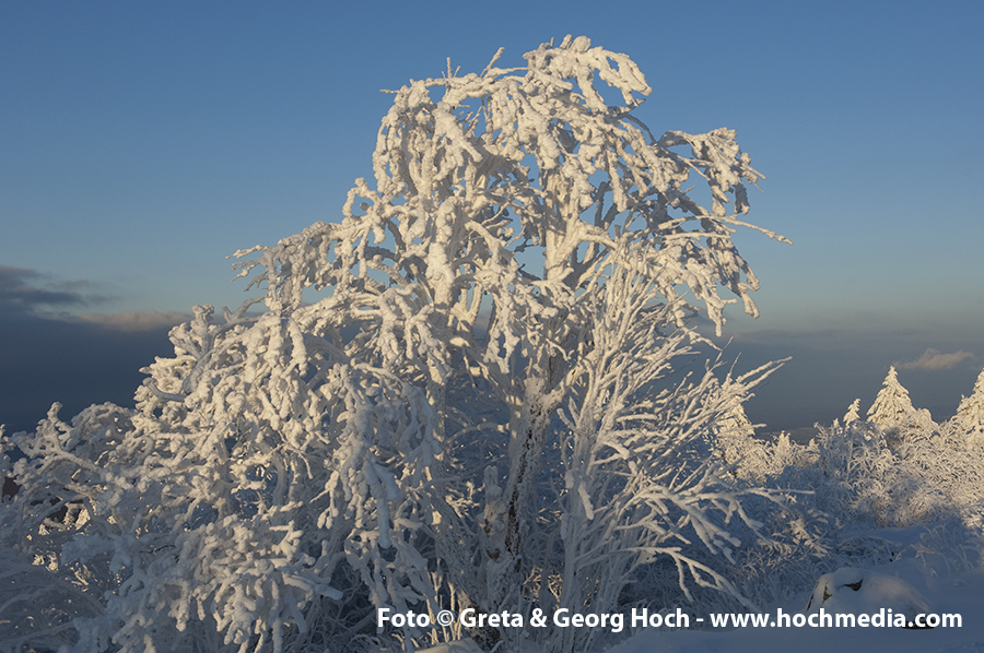 Winter im Taunus