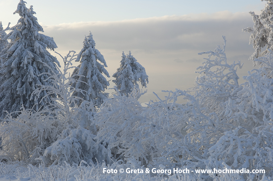 Winter im Taunus