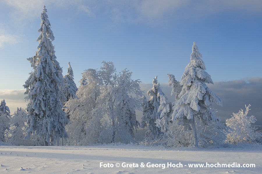 Winter im Taunus