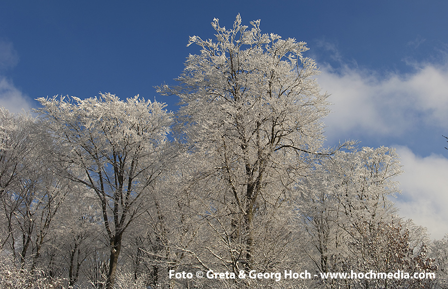 Winter im Taunus