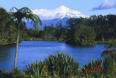 Taranaki