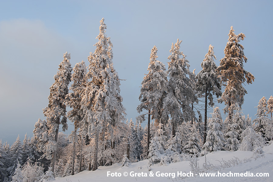 Winter im Taunus