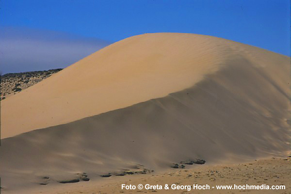 Fuerteventrua - Rico del Paso