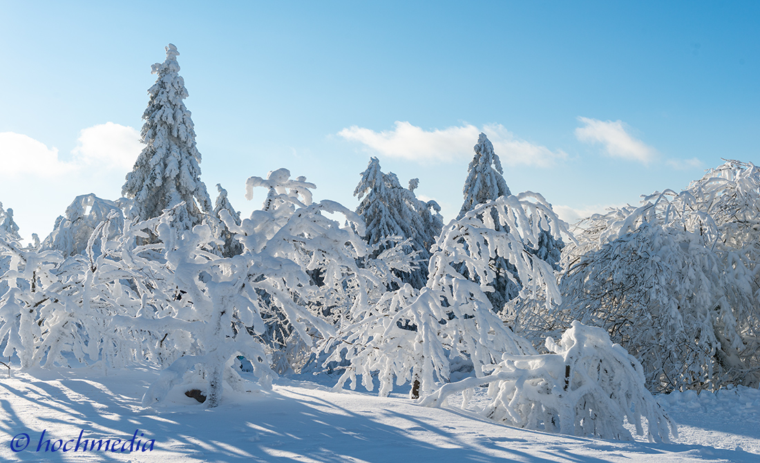 Winterzauber Winterzauber