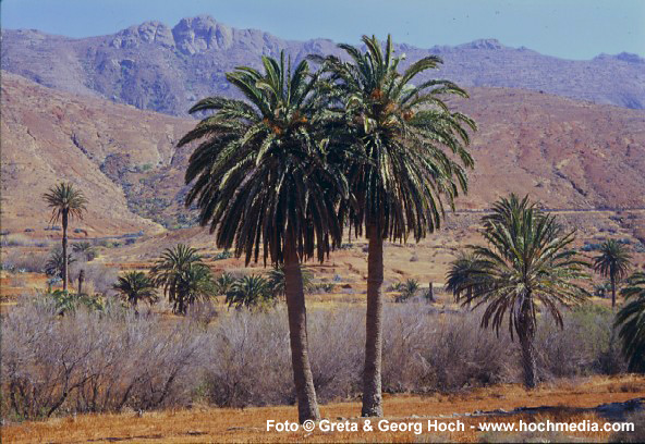 La Vega de Rio de las Palmas