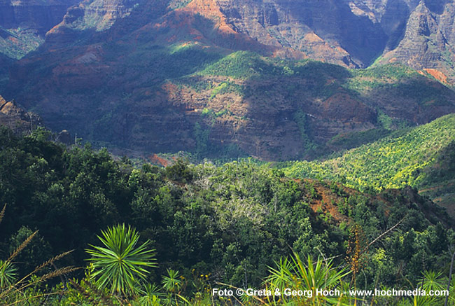 Waimea Canyon