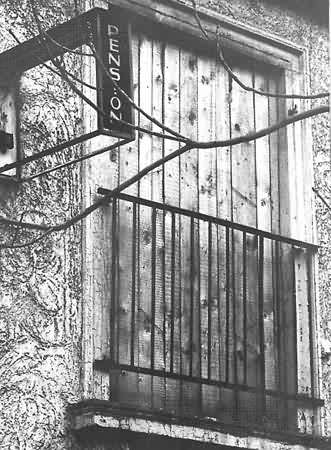 Westend 37