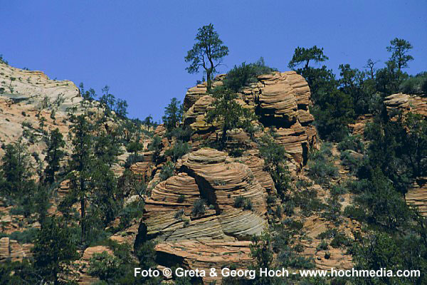 Zion National Park